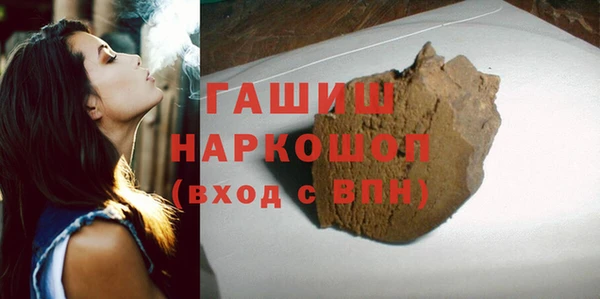 индика Нягань
