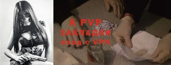 винт Алзамай