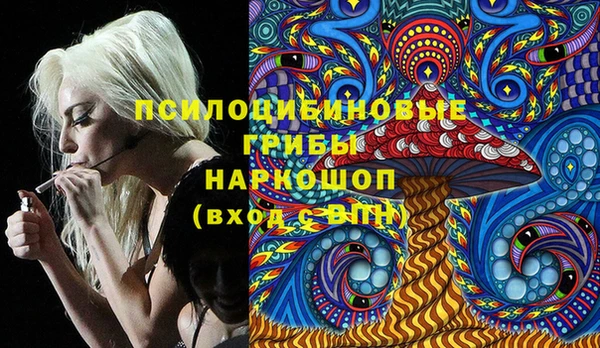 стаф Алексин
