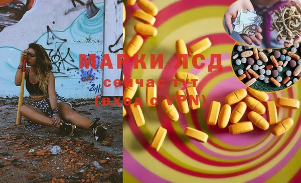 винт Алзамай