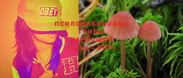 стаф Алексин