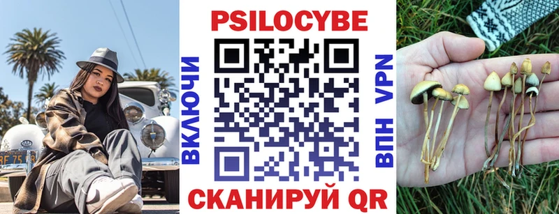 где найти наркотики  Кыштым  Галлюциногенные грибы мухоморы 